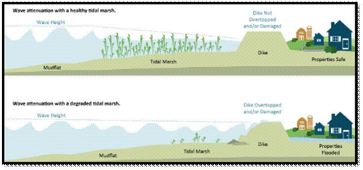 Academic sample illustration
